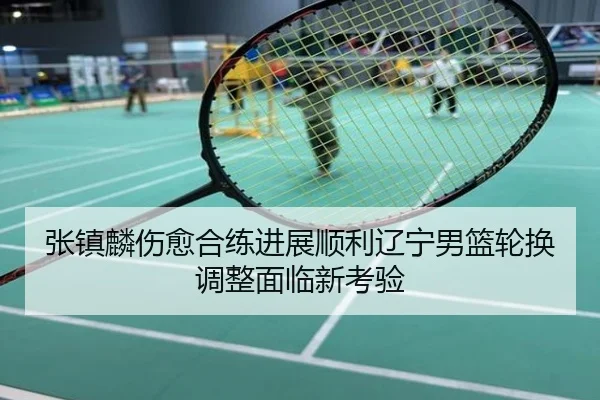 张镇麟伤愈合练进展顺利辽宁男篮轮换调整面临新考验